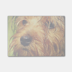 Schattige Terrier Dog met een nat gezicht Post-it® Notes