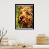 Schattige Terrier Dog met een nat gezicht Poster (Keuken)