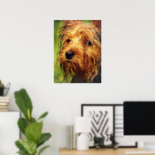 Schattige Terrier Dog met een nat gezicht Poster (Thuiskantoor)