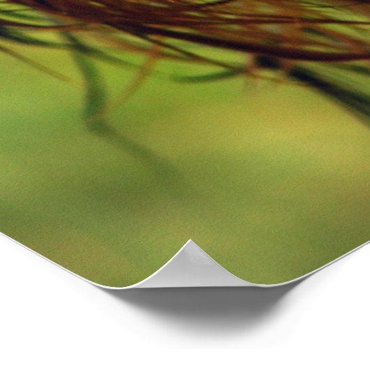 Schattige Terrier Dog met een nat gezicht Poster (Hoek)