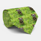 Schattige Terrier Dog Stropdas (Opgerold)