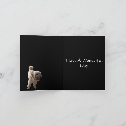 Schattige Terrier Kaart (Binnen)