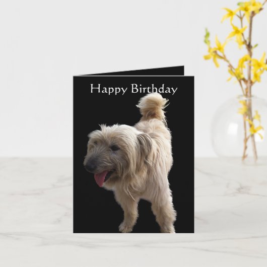 Schattige Terrier Kaart (Gele Bloem)