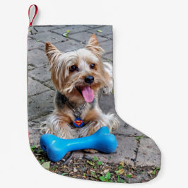 Schattige Terrier Kleine Kerstsok