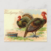 schattige Thanksgiving Holiday  kalkoen Briefkaart (Voorkant)