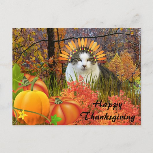 Schattige Thanksgiving kat collage kunst Briefkaart (Voorkant)