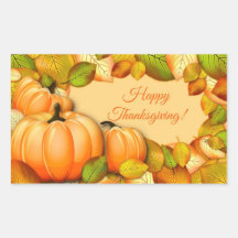 Schattige Thanksgiving Pompoen