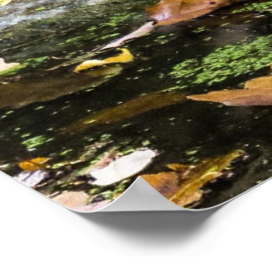 Schattige tierkuil poster (Hoek)