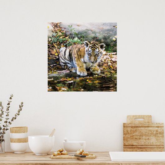 Schattige tierkuil poster (Keuken)