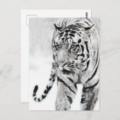 schattige tijgerdierenvrienden briefkaart (Voorkant / Achterkant)