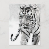 schattige tijgerdierenvrienden briefkaart (Voorkant)