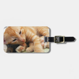 Schattige Tijgerstreep Kittens Bagagelabel