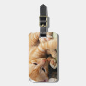 Schattige Tijgerstreep Kittens Bagagelabel (Voorkant verticaal)
