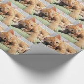 Schattige Tijgerstreep Kittens Cadeaupapier (Hoek)