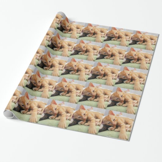 Schattige Tijgerstreep Kittens Cadeaupapier (Uitgerold)