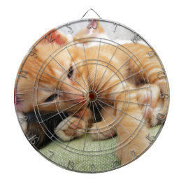 Schattige Tijgerstreep Kittens Dartbord