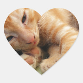 Schattige Tijgerstreep Kittens Hart Sticker