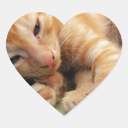 Schattige Tijgerstreep Kittens Hart Sticker (Voorkant)