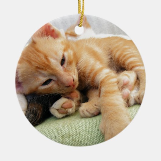 Schattige Tijgerstreep Kittens Keramisch Ornament (Voorkant)