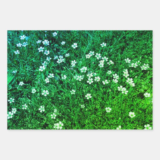 Schattige Tiny Flowers Inpakpapier Vel (Voorkant 2)