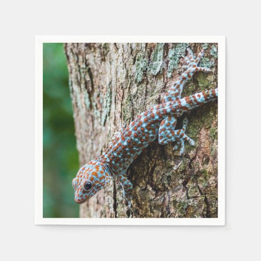 Schattige Tokay Gecko Lizard Servet (Voorkant)