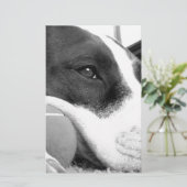 schattige trieste roofhond zwart wit met bal briefpapier (Staand voorkant)