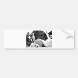 schattige trieste roofhond zwart wit met bal bumpersticker
