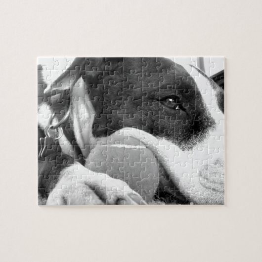 schattige trieste roofhond zwart wit met bal legpuzzel (Horizontaal)