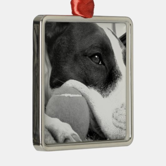 schattige trieste roofhond zwart wit met bal metalen ornament (Rechts)