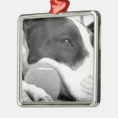 schattige trieste roofhond zwart wit met bal metalen ornament (Links)