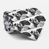 schattige trieste roofhond zwart wit met bal stropdas (Opgerold)