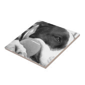 schattige trieste roofhond zwart wit met bal tegeltje (Zijkant)