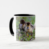 Schattige Triplet Moskovy Ducklings Hardlopen Mok (Voorkant links)