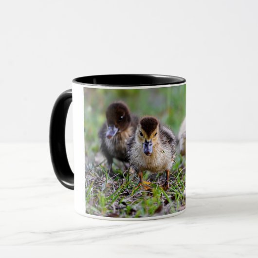 Schattige Triplet Moskovy Ducklings Hardlopen Mok (Voorkant links)