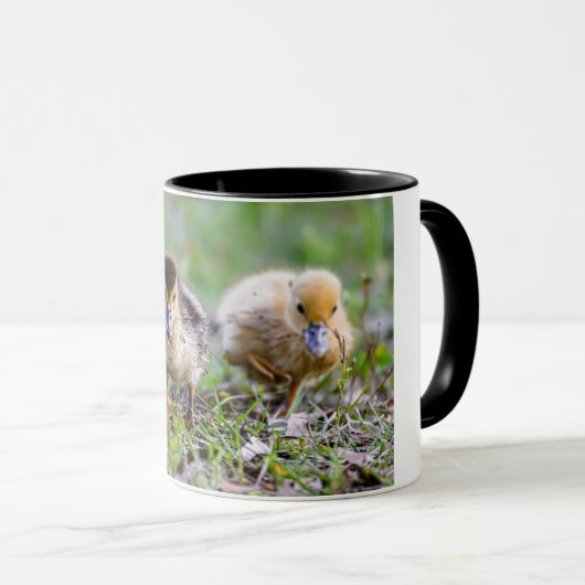 Schattige Triplet Moskovy Ducklings Hardlopen Mok (Voorkant rechts)