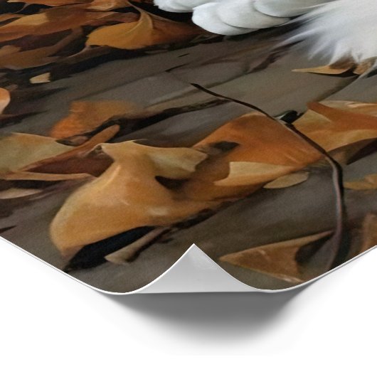 Schattige Turks Angora Cat Art Print Poster (Hoek)