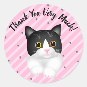 Schattige Tuxedo Kitten Hartelijk dank Ronde Sticker