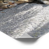 Schattige twee kittens, kleine katten, spelen poster (Hoek)