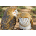 schattige uil fotobeeldje magneet<br><div class="desc">schattige uil</div>