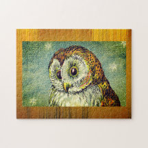 schattige uil illustratie