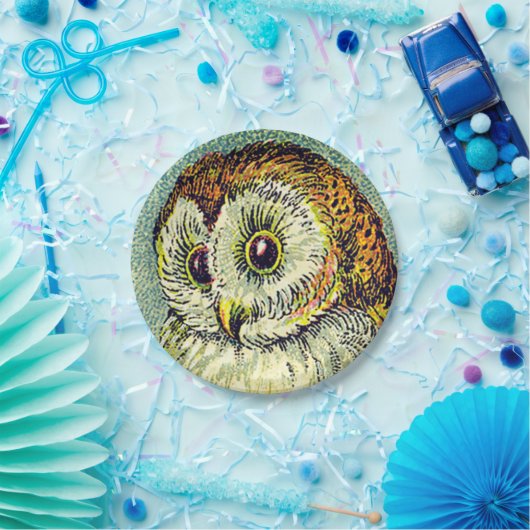  schattige uil illustratie papieren bordje (Feest)