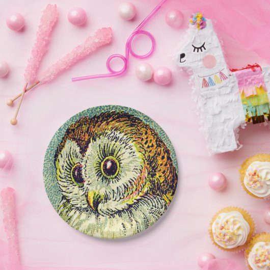  schattige uil illustratie papieren bordje (Feest)