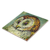 schattige uil illustratie tegeltje (Zijkant)