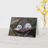 Schattige uilen kaart (Gele Bloem)