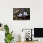 Schattige uilen poster (Thuiskantoor)