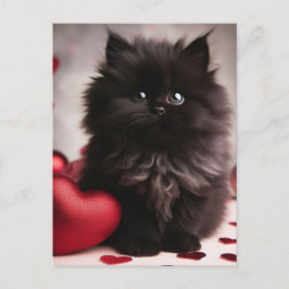 Schattige Valentijn Fluffy Black Kitten Briefkaart