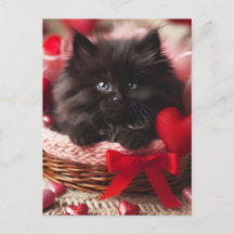 Schattige Valentijn Fluffy Black Kitten in mand