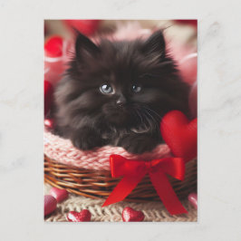 Schattige Valentijn Fluffy Black Kitten in mand Briefkaart