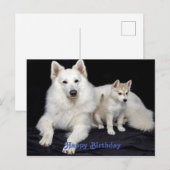 Schattige verjaardagsgroet Honden Briefkaart (Voorkant / Achterkant)