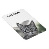 Schattige verraste kat met bril magneet (Rechterzijde)